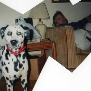 Meet your Posher, Andy